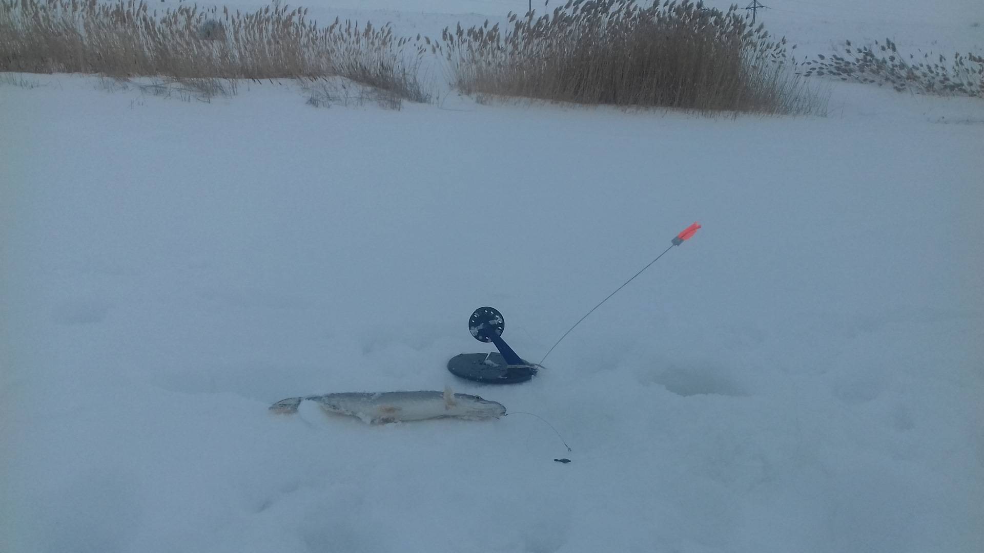 Ловля щуки зимой