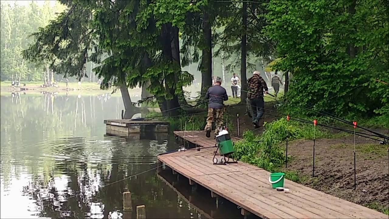 Рыбалка в белавино "три пескаря", солнечногорский район