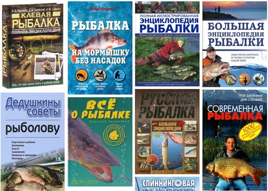 Топ 30 самые читаемые книги в россии (2022)