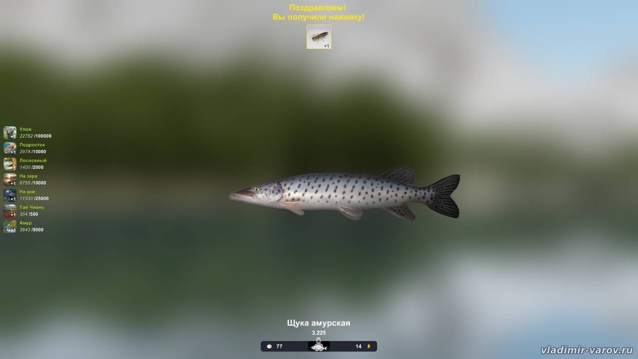 Thefisher online - обзор игры: описание, скриншоты, видео