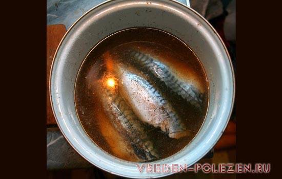 Рыба горячего копчения, как подготовить и закоптить морепродукты