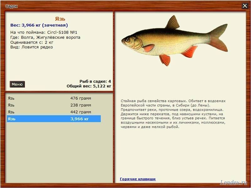 Рыбалка на озере вуокса. рыболовный форум и отчеты