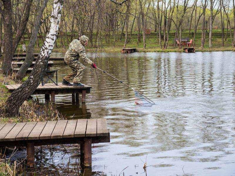 Платная рыбалка домодедовский