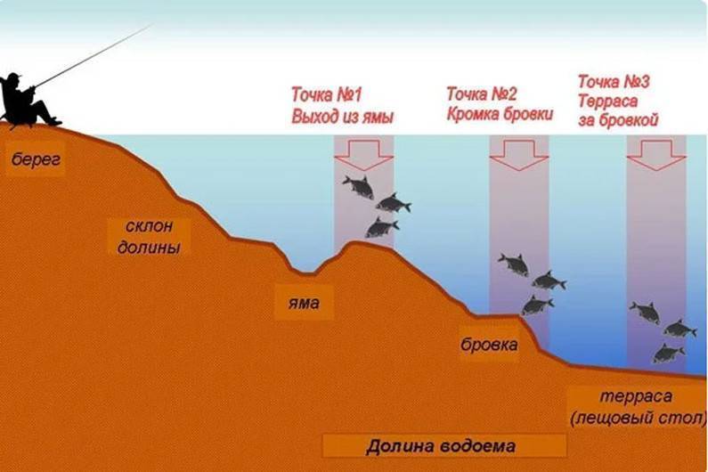 Зимняя рыбалка на леща