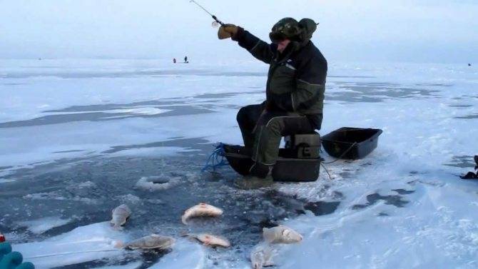 Зимняя рыбалка в декабре: ловля по открытой воде, необходимые снасти