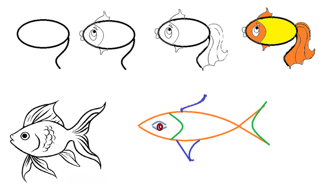 Как нарисовать рыбу карандашом
