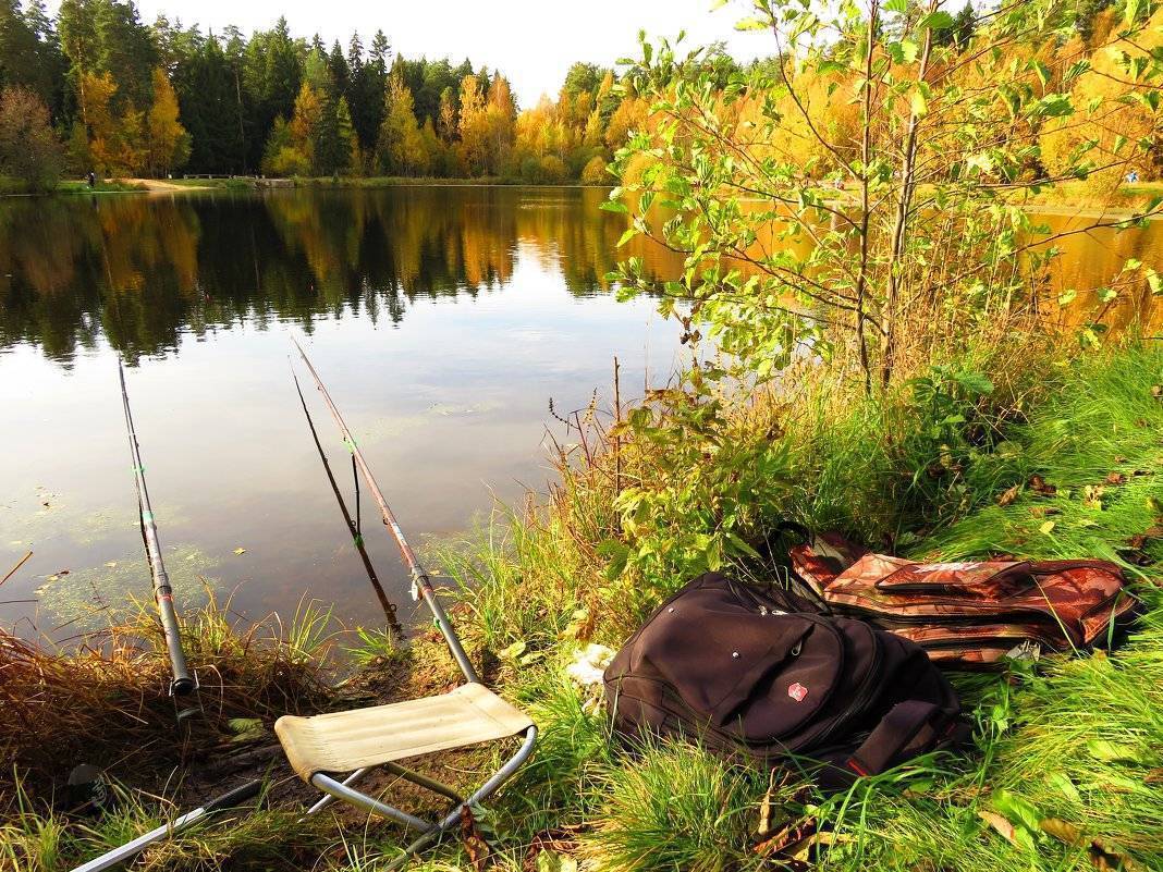 Куда поехать на рыбалку в химках московской области и запрет 2019