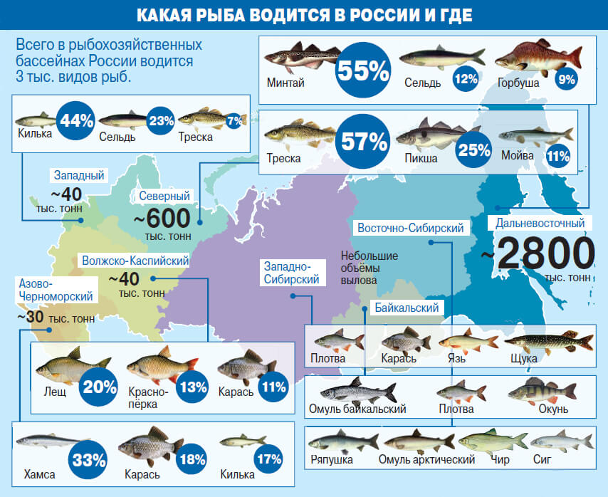 Рыбалка карта мест