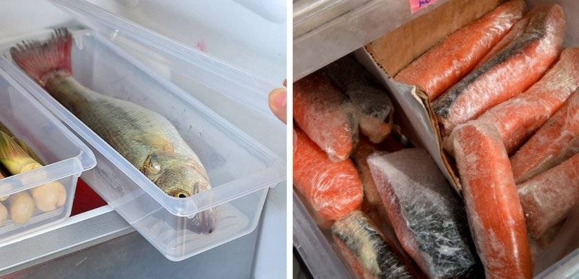 Хранение рыбы свежей, копченой горячим способом и других: сколько держать в холодильнике, можно ли в морозилке и какой срок, как замораживать в домашних условиях?