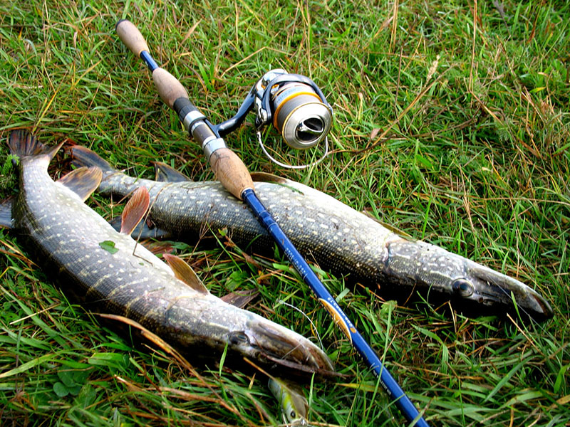Джентльменский набор твичингиста – начинающим рыболовам | рыбак serdgjk