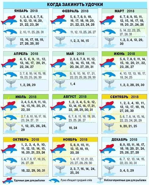 Лунный календарь рыболова на 2020 год – влияние фаз луны на клев рыбы!