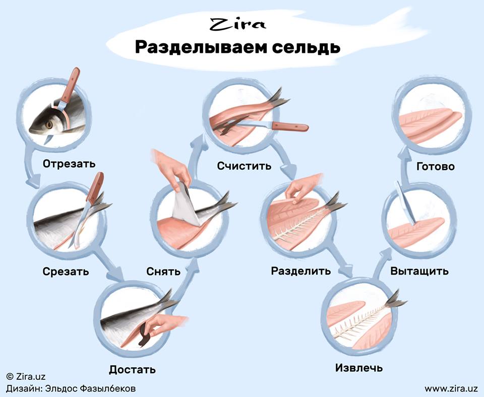 Схема разделки рыбы