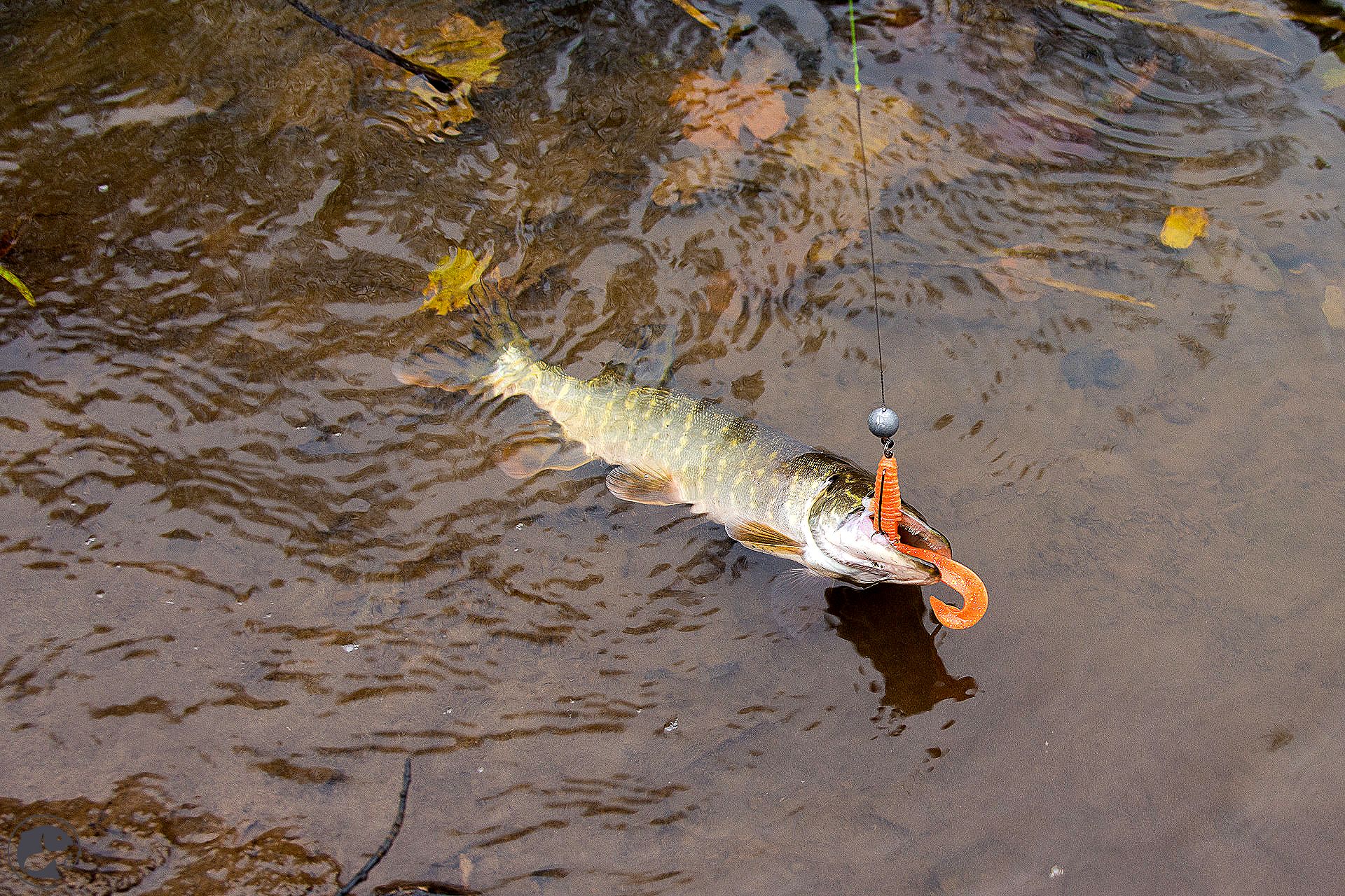 Ловля щуки в марте: рыбалка на щуку в марте со спиннингом - ловля щуки по открытой воде
