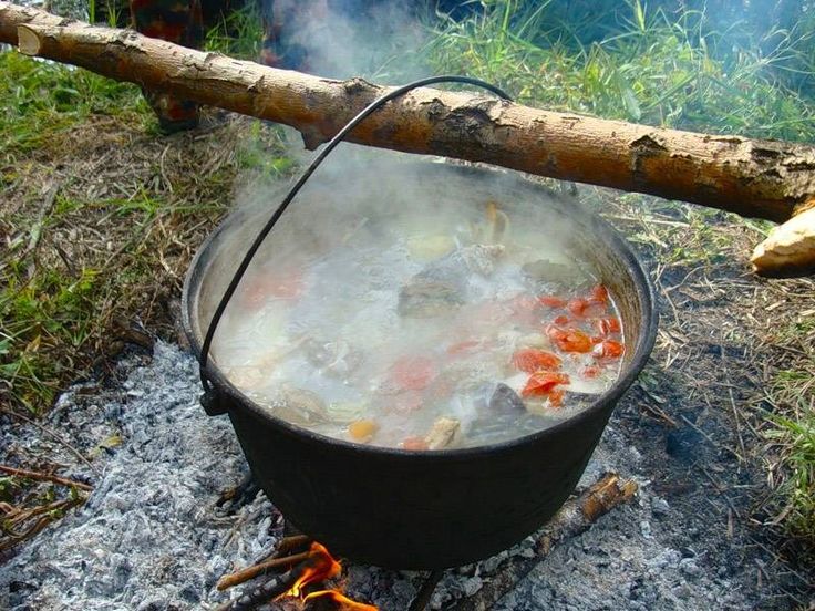 Как варить уху из речной и морской рыбы дома и на костре правильно