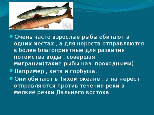 Какого числа нерест рыб? - суперулов - интернет-портал о рыбалке