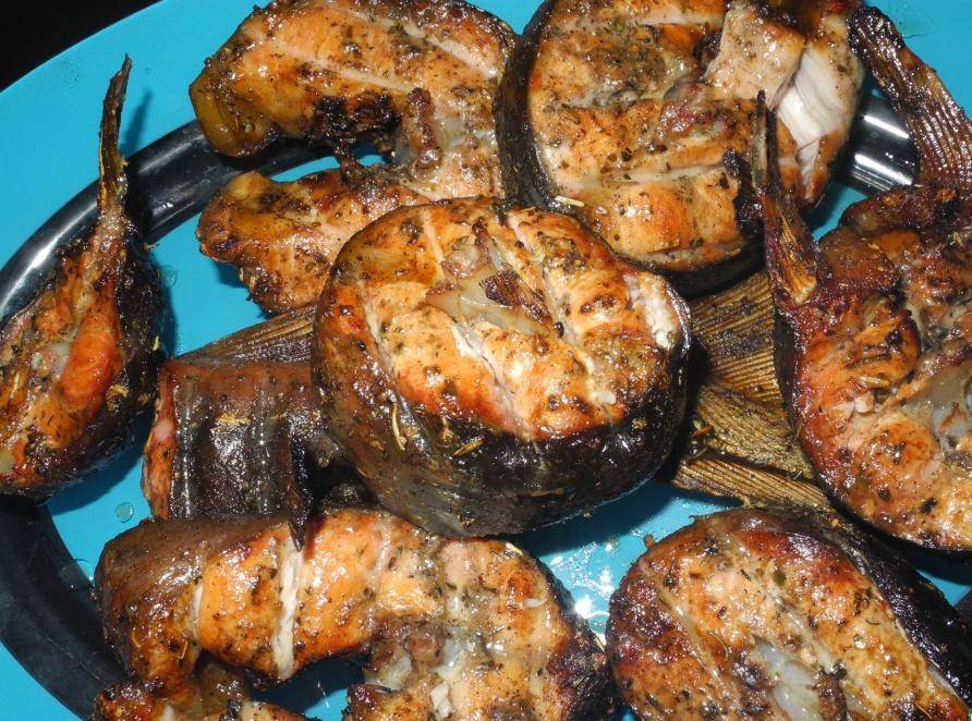 Щука – 10 рецептов приготовления вкусных блюд из рыбы