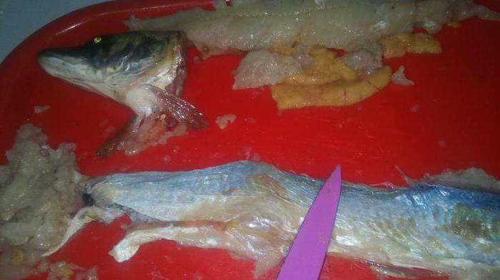 Фаршированная рыба — правила, секреты и рецепты приготовления