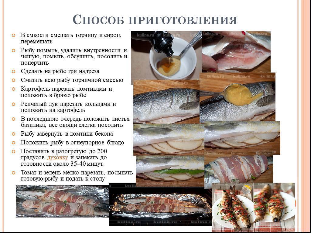 Нототения: что это за рыба, как её приготовить? 6 рецептов