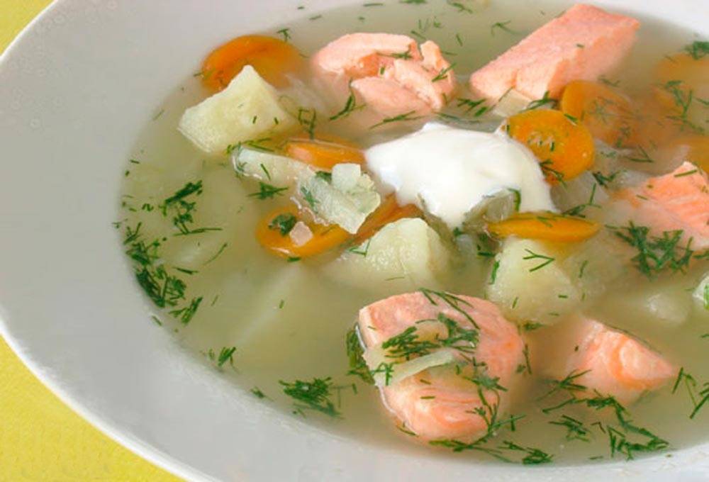 Уха из семги в мультиварке / рыбные супы / tvcook: пошаговые рецепты с фото