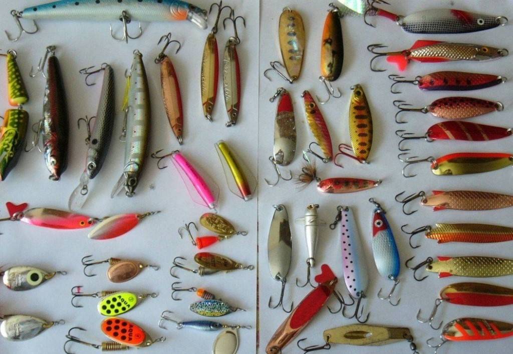 Рыбалка на озере селигер: где рыбачить с егерем? туристические базы и виды рыбы, рекомендации по ловле