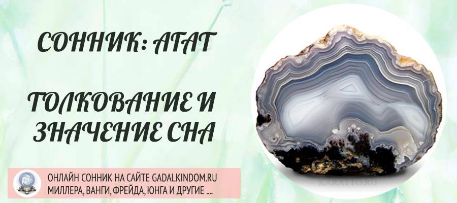 Сонник миллера ванги современный. к чему снится миллера ванги современный видеть во сне - сонник дома солнца