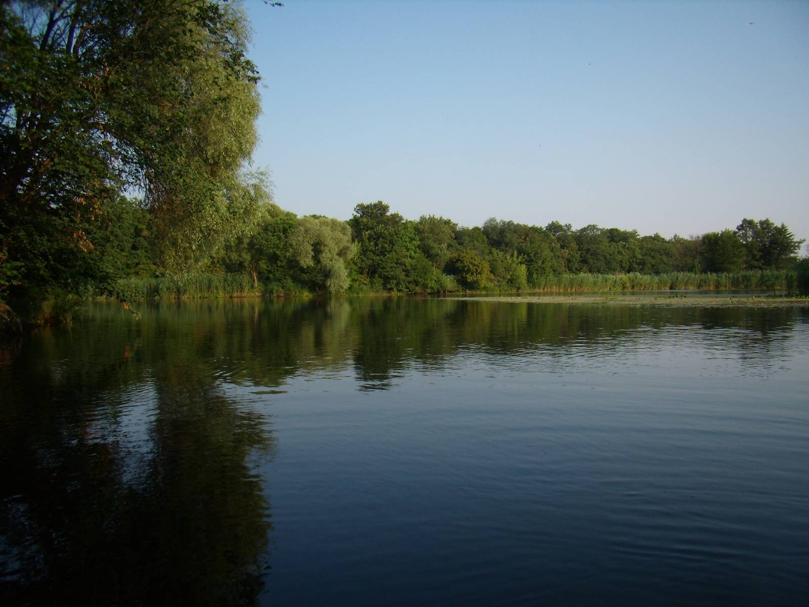 Рыбалка в белгородской области: зимняя рыбалка - пруды, водохранилища и реки