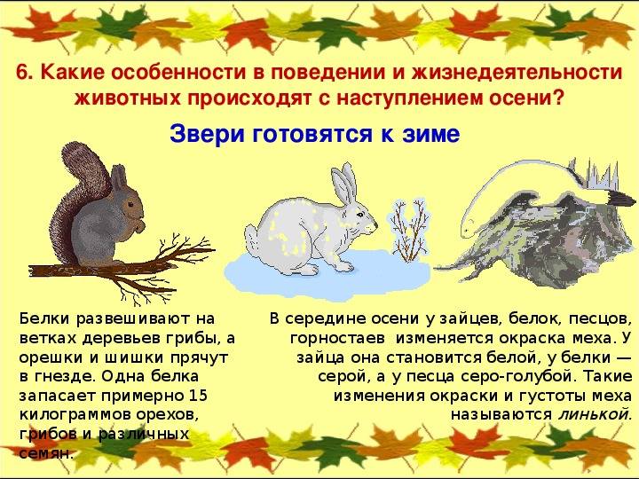 Ловля щуки летом на спиннинг: с берега, с лодки. рыбалка на щуку в июне