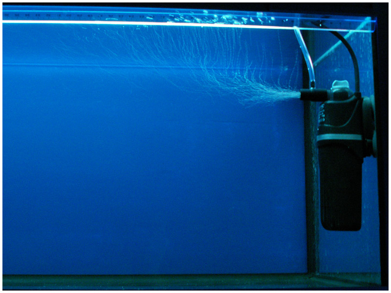 Как установить фильтр в аквариуме