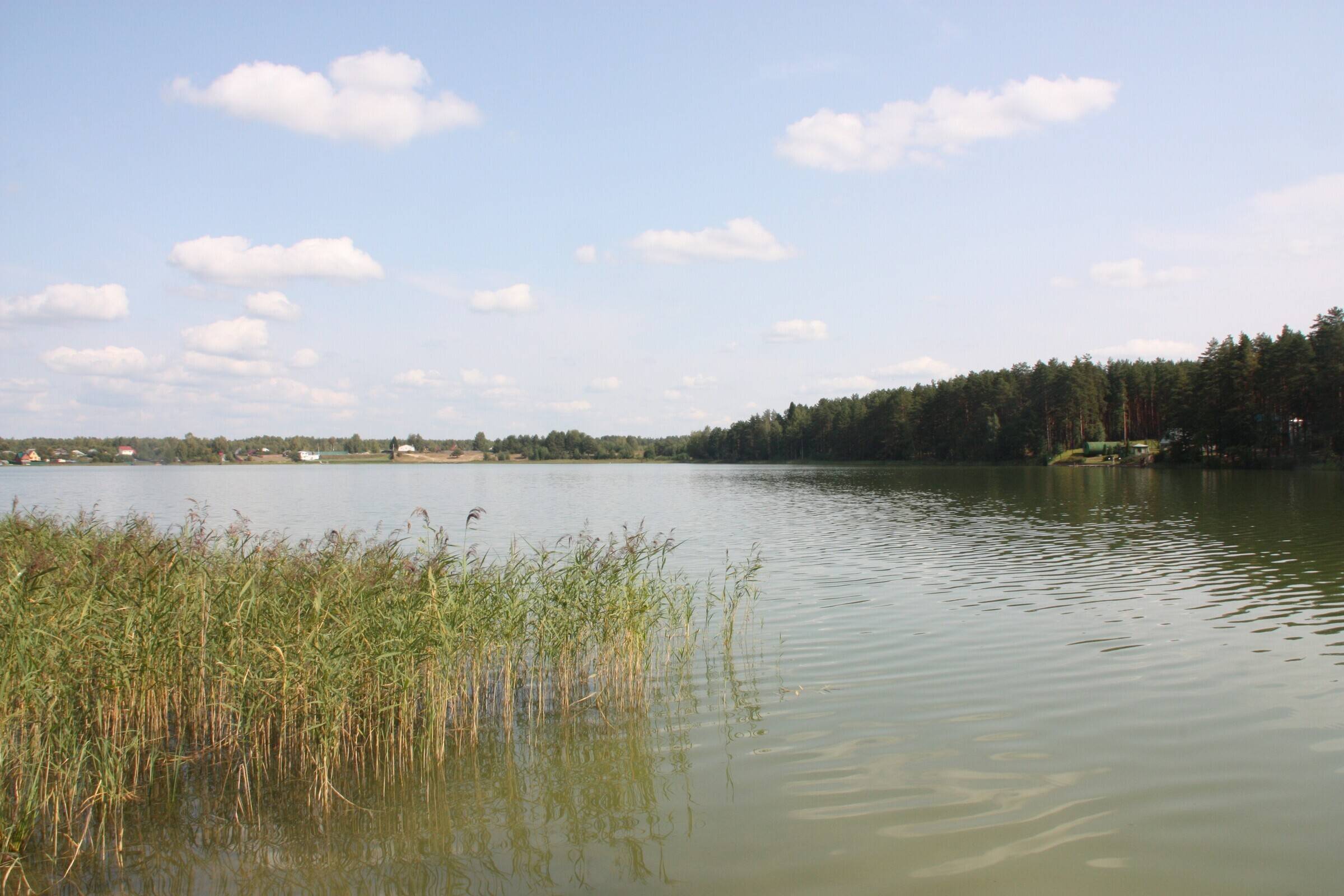 Белое озеро Рязанская область, Северное. Где находится, санатории, отдых, рыбалка, дайвинг