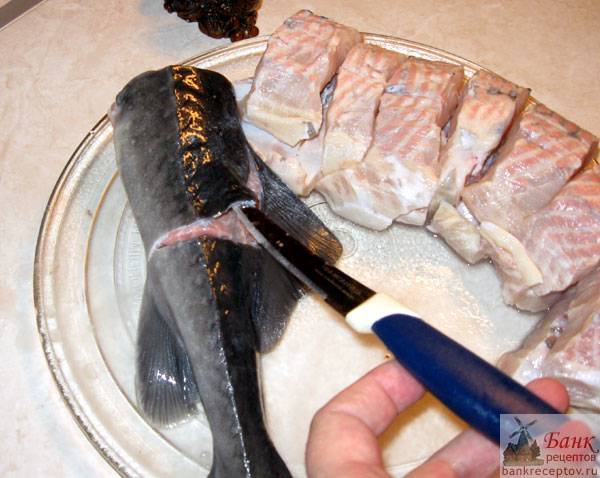 Стерлядь: визига, жучки, и  что еще надо знать, чтобы разделать рыбу