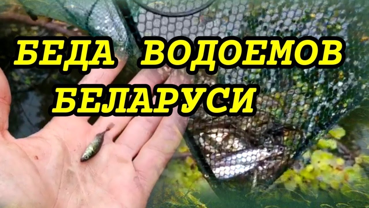 Черви для рыбалки: где накопать, как хранить и разводить в домашних условиях
черви для рыбалки: где накопать, как хранить и разводить в домашних условиях
