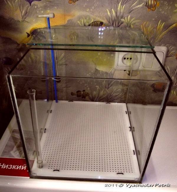 Донный фильтр для аквариума (16 фото): принцип работы, плюсы и минусы аквариумного фильтра. как сделать фильтр для круглого аквариума на 20 литров своими руками?