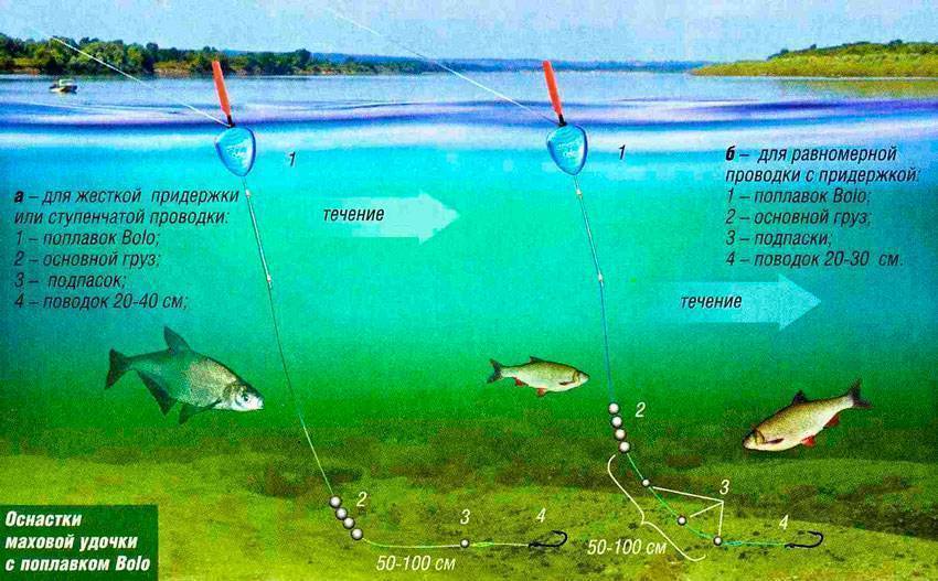 Поплавки для ловли на течении: виды, какой выбрать и как огрузить