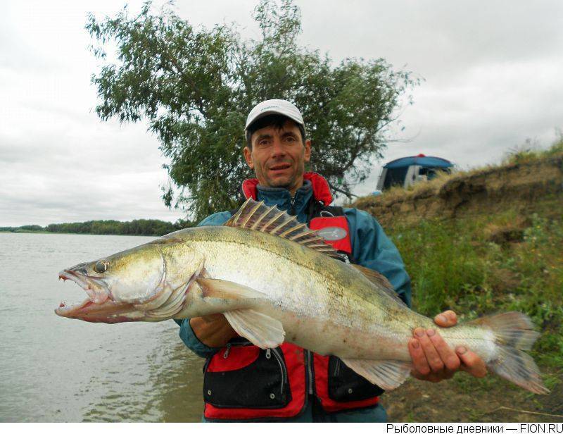 12 лучших рыболовных мест в тюменской области | животный мир