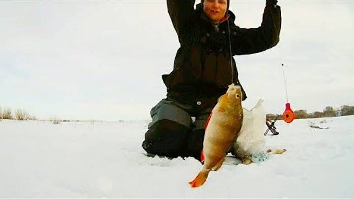 Рыбалка на безмотылку зимой:  выбор снастей и приманки, техника ловли