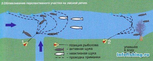 Щука: образ жизни, повадки, способы ловли
