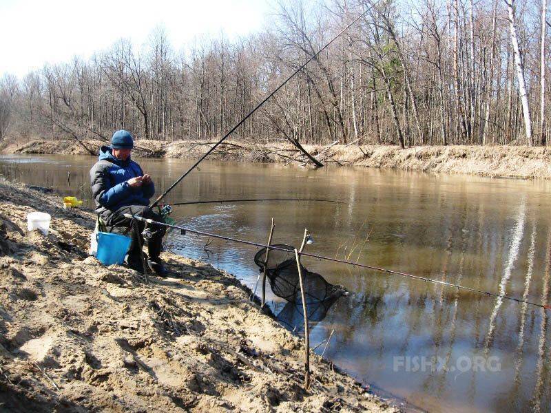 Ловля карпа весной: прикормки, приманки и особенности рыбалки