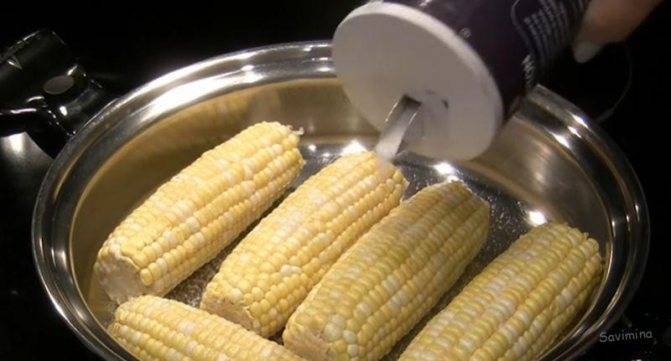 Как происходит сушка кукурузы в промышленных масштабах и как высушить её в домашних условиях