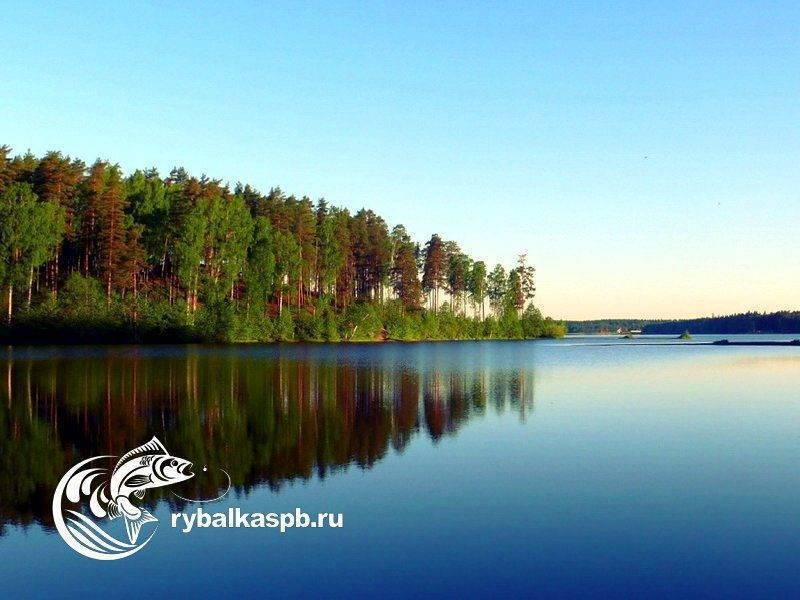 Глубокое озеро, ленинградская область, выборгский район. рыбалка и досуг, отзывы, фото и видео, как добраться — туристер.ру