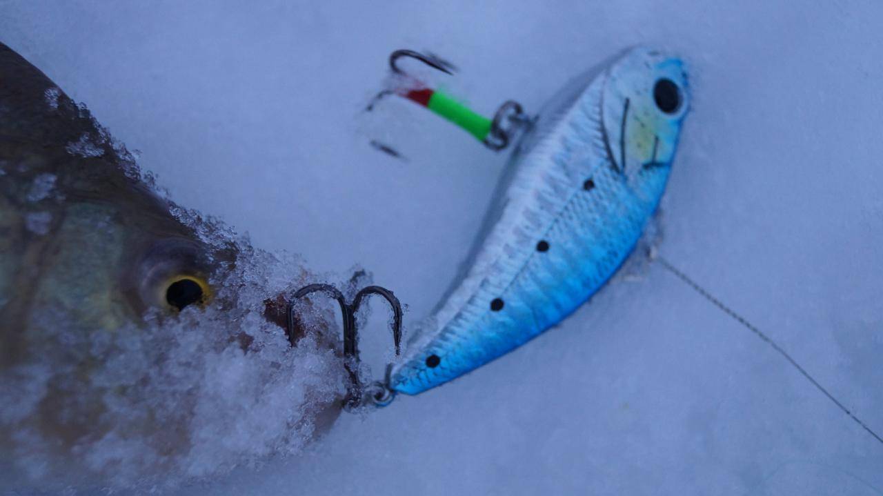 Ратлины на щуку: топ 10 ратлингов для зимней и летней рыбалки, ловля щуки на вибы зимой и летом