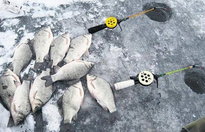 Зимняя рыбалка: основы