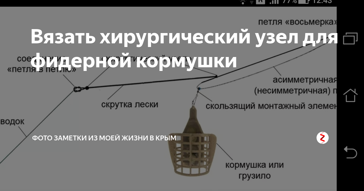 Асимметричная петля для фидера как вязать схема и объяснение