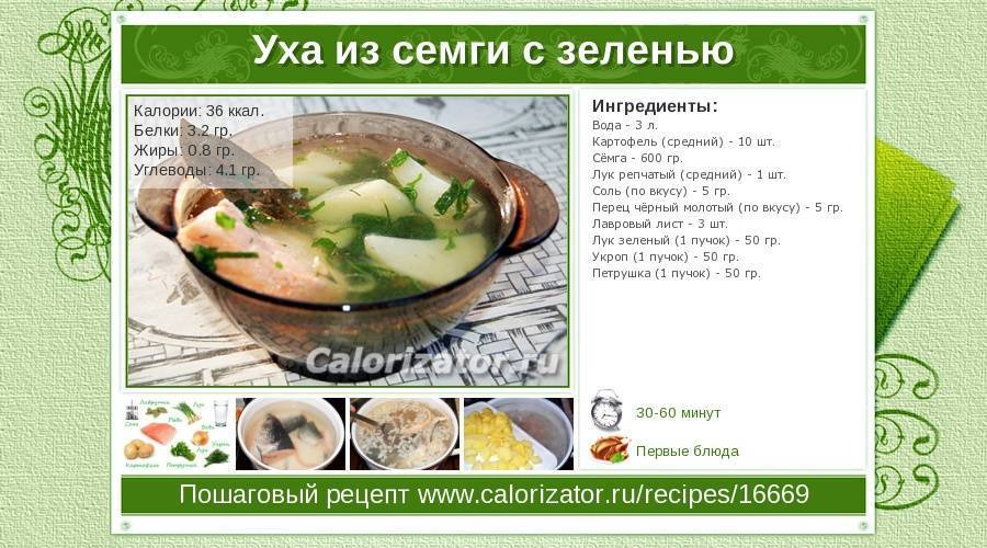 Калорийность ухи из семги с картофелем