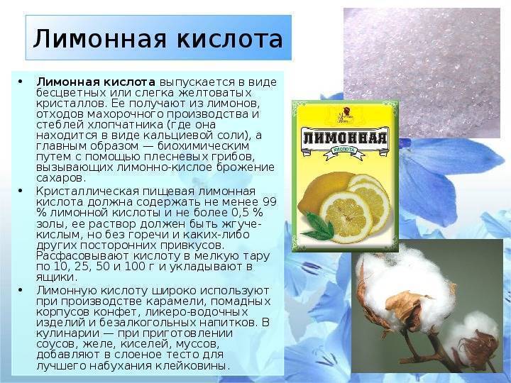Как сделать технопланктон своими руками: состав смеси, рецепты приготовления
