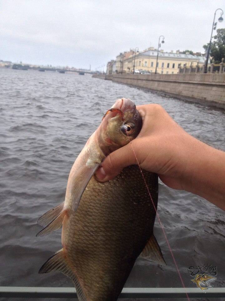 Рыбалка в санкт-петербурге