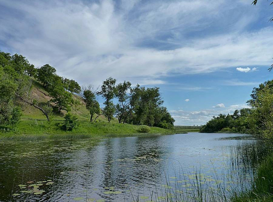 Река ловать » отдых на природе. места, статьи, события.