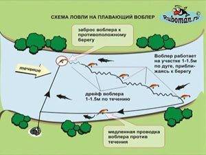 Тонкости тролинговой рыбалки на судака: правильный выбор места, снасти и приманки