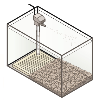 Фильтрация и аэрация воды аквариума, виды фильтров