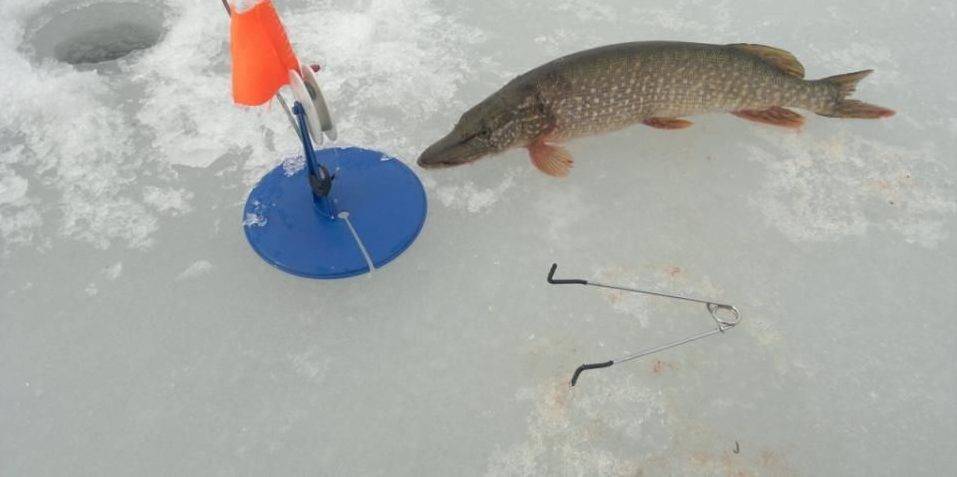 6 лучших жерлиц для зимней рыбалки — рейтинг 2019, зимние жерлицы какие лучше.