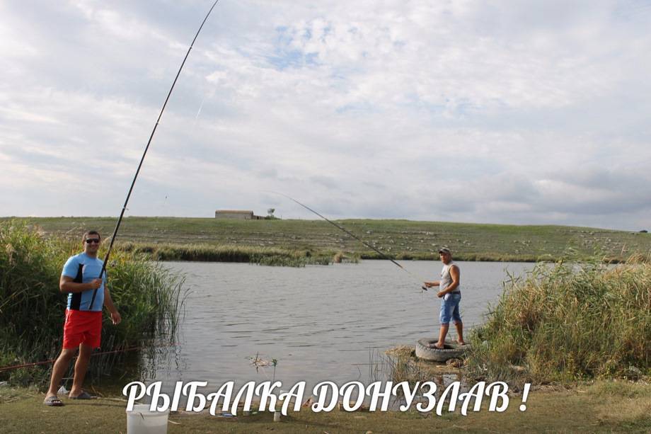 Рыбалка в крыму с берега - подготовка, места для рыбалки, снасти